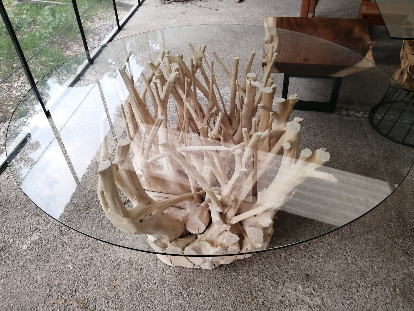 RAIZ BASE DE COMEDOR